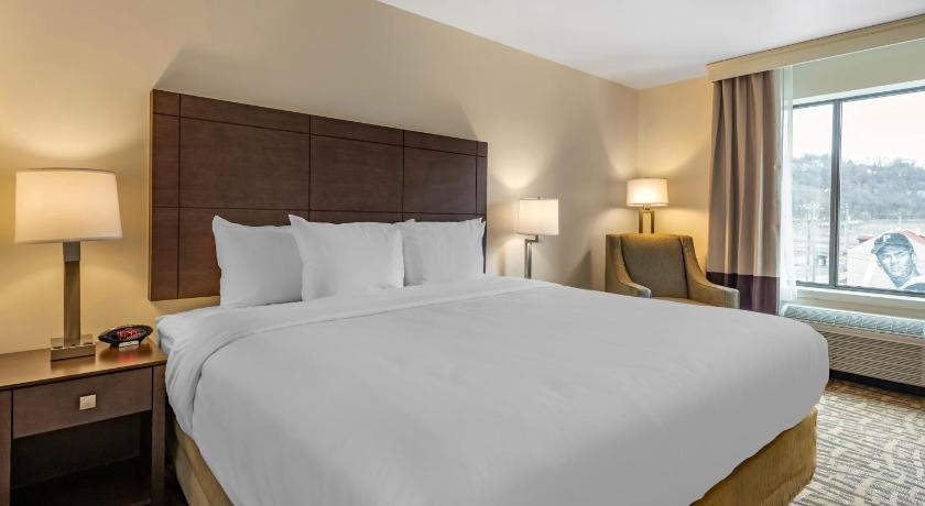 Comfort Inn & Suites Pittsburgh-Northshore