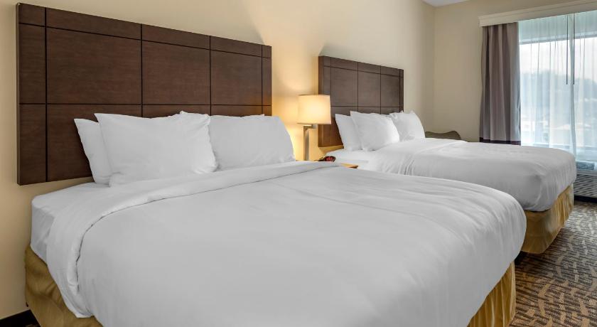 Comfort Inn & Suites Pittsburgh-Northshore