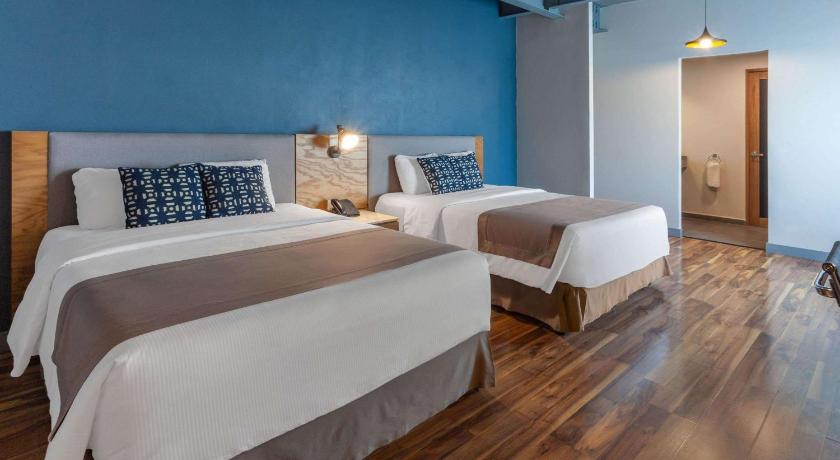 TRYP by Wyndham San Luis Potosi