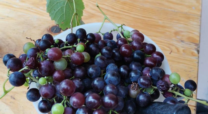 朱比利安特 Guest Lodge on the Edge 3星级 民宿 客房