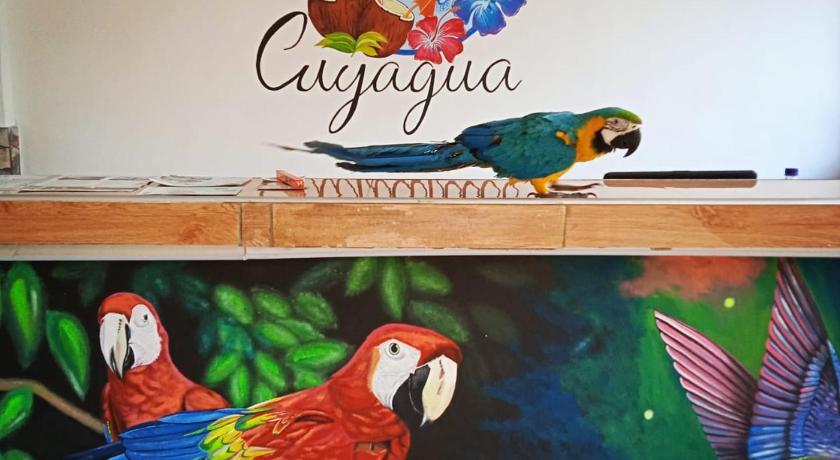 Hostal Cuyagua — Hotel in Palomino