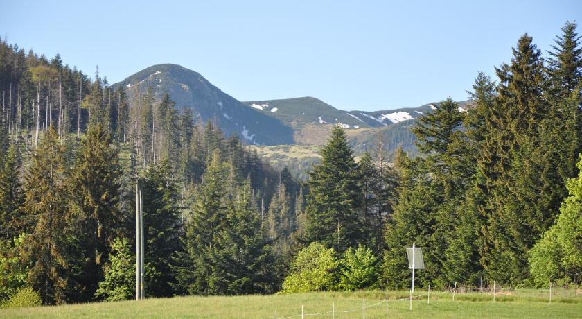 APARTAMENTY "U Blizniakow" — Hotel in Zakopane