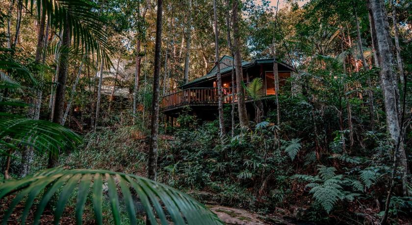 Narrows Escape Rainforest Retreat