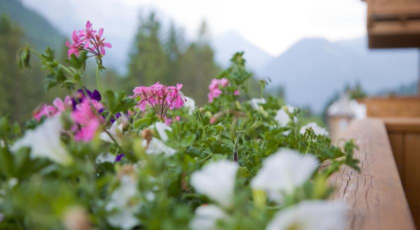 Hotel Chalet Del Brenta