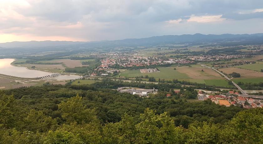 Gnezdo Vid-ik photo