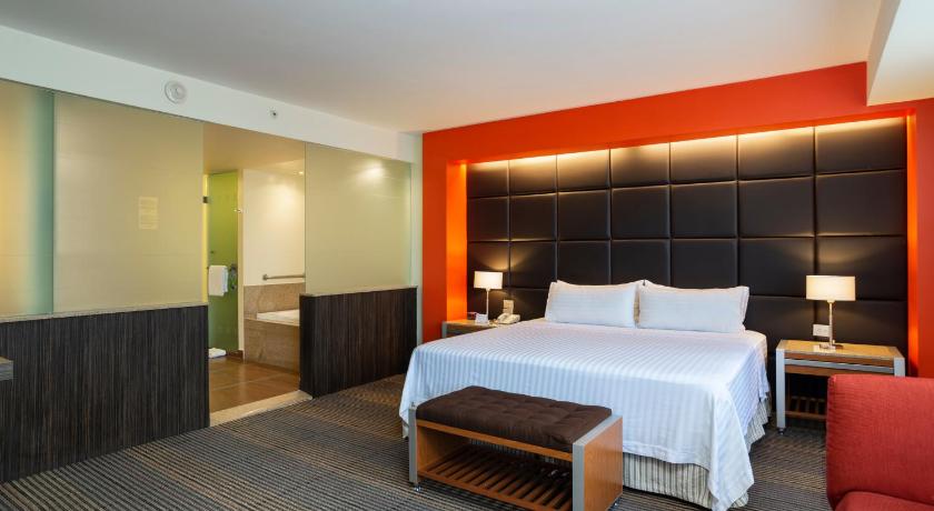 Holiday Inn Mexico City-Plaza Universidad