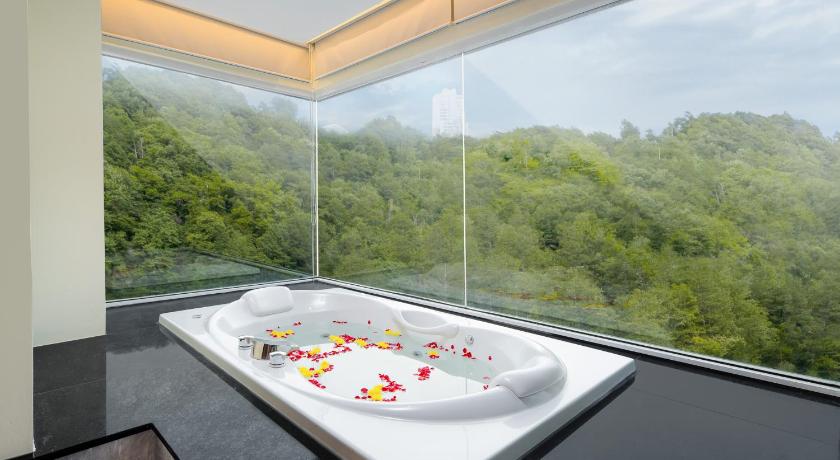 Image of Premium Mountain View Room 1 King Bed 5
