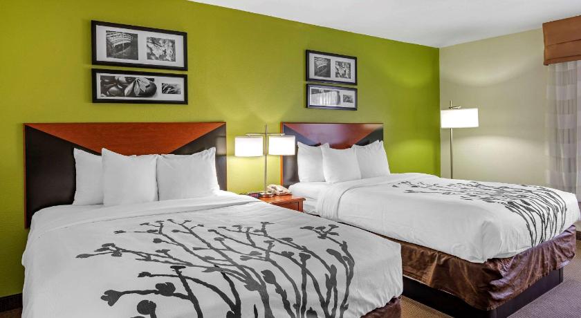 Sleep Inn & Suites Stockbridge Atlanta South