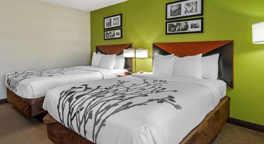 Sleep Inn & Suites Stockbridge Atlanta South