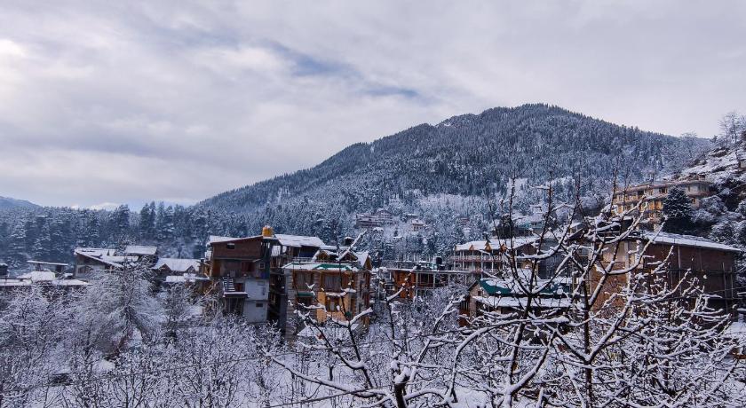YOLO Backpackers MAX - Manali photo