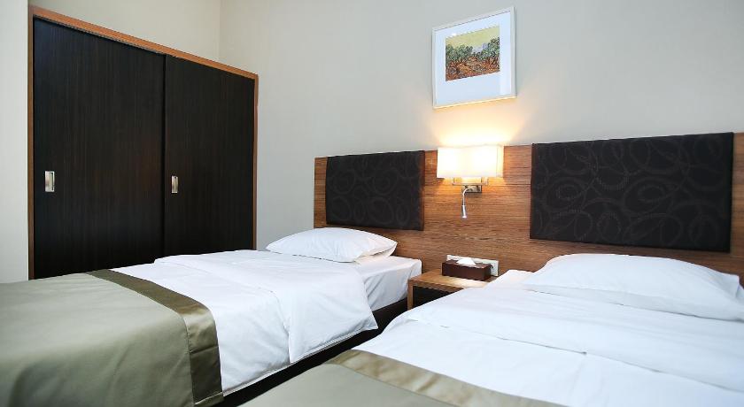 Tskaltubo Plaza Hotel photo