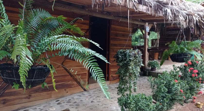 ECO Hostal Monolandia photo