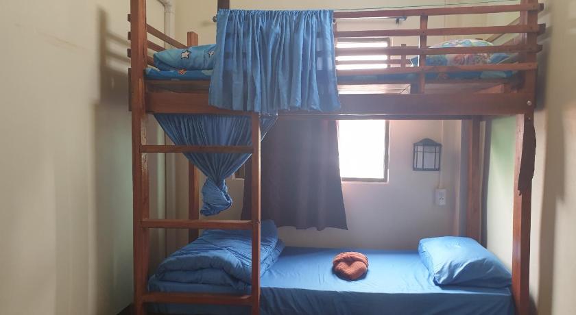 a bunk bed in a room with a blue wall, Chiangdao Center Hostel in Chiang Dao