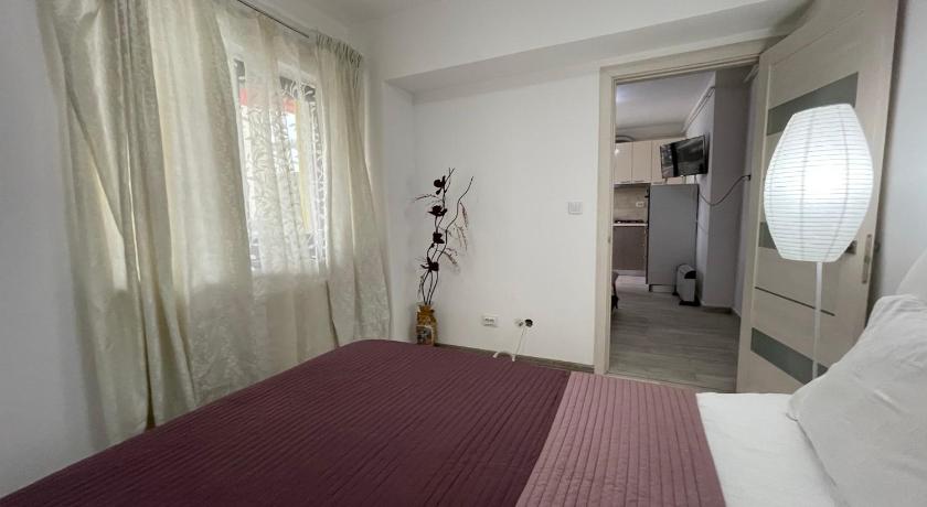 Renting Solutions Iulius Mall photo
