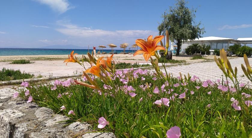 Hause Zorbas photo