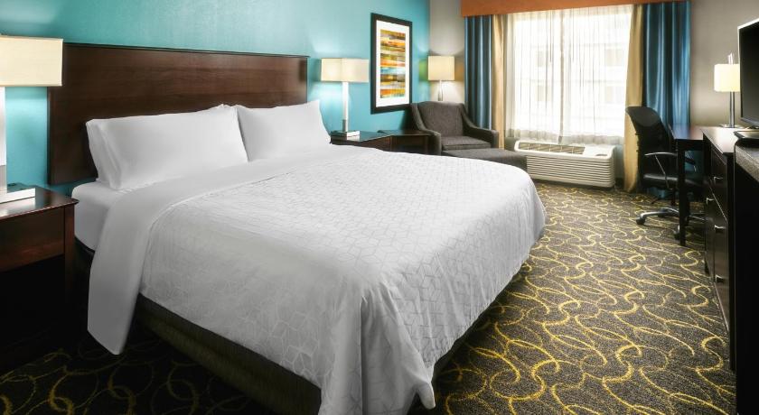 Holiday Inn Express Hotel and Suites DFW-Grapevine