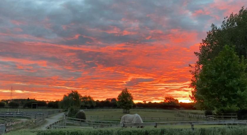 Unique Equestrian Lifestyle photo