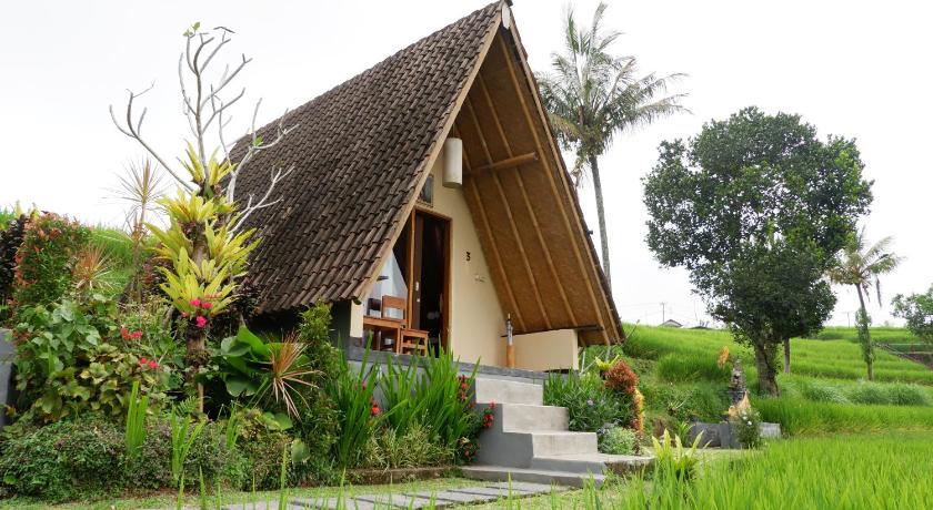 Padi Bali Jatiluwih photo
