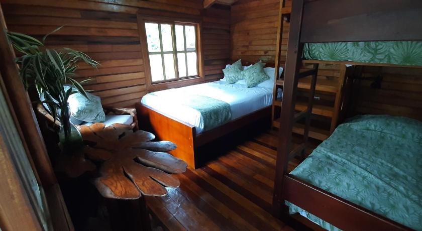 Guest House Great Hostels Amazon photo
