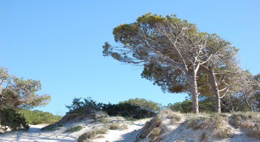 Residence Buganvillea photo