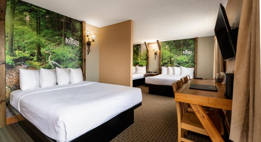 위스콘신 델스 (WI) Natura Treescape Resort 3성급 숙소 전망