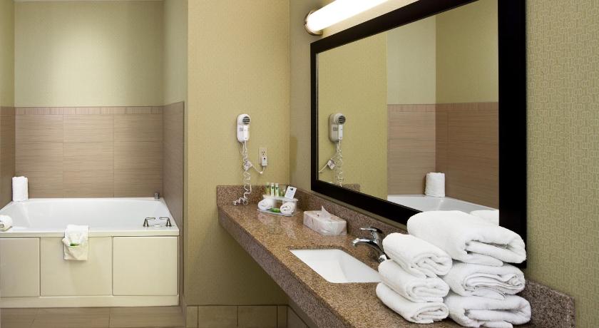 Holiday Inn Express Hotel & Suites Saginaw