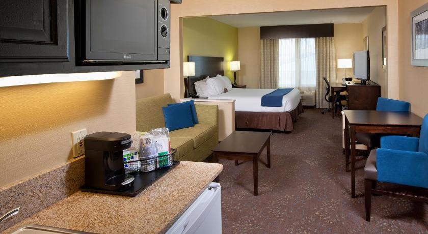 Holiday Inn Express Hotel & Suites Saginaw