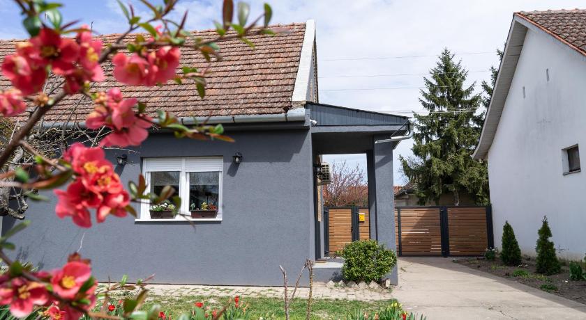 Urban House - Ada photo