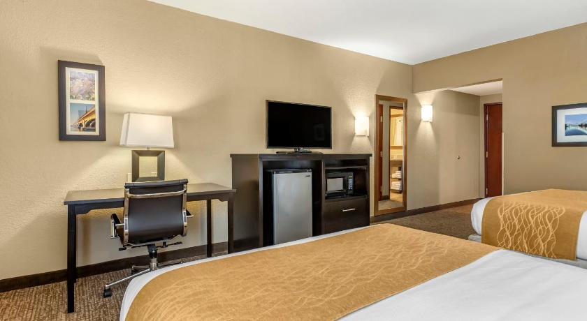 Comfort Inn & Suites Allen Park - Dearborn