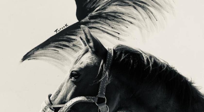 Gites Equestres Lou Caloun - Les Saintes Maries de la Mer — Hotel in Saintes-Maries-de-la-Mer
