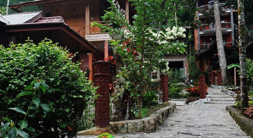 Rain Forest Guest House photo