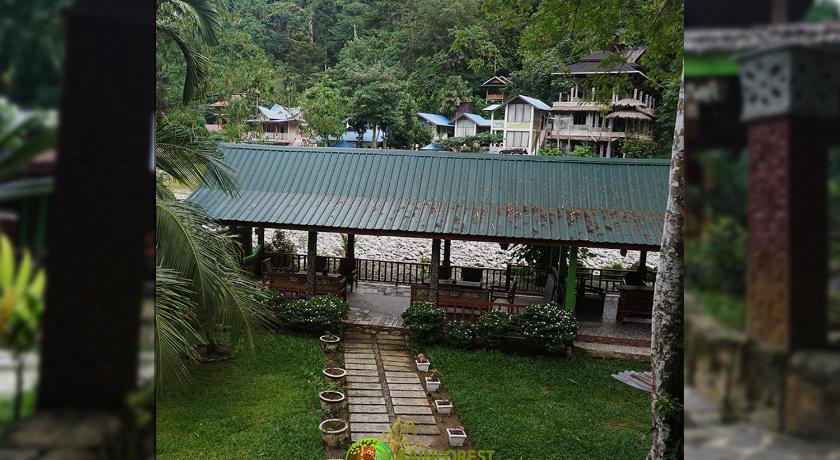 Rain Forest Guest House photo