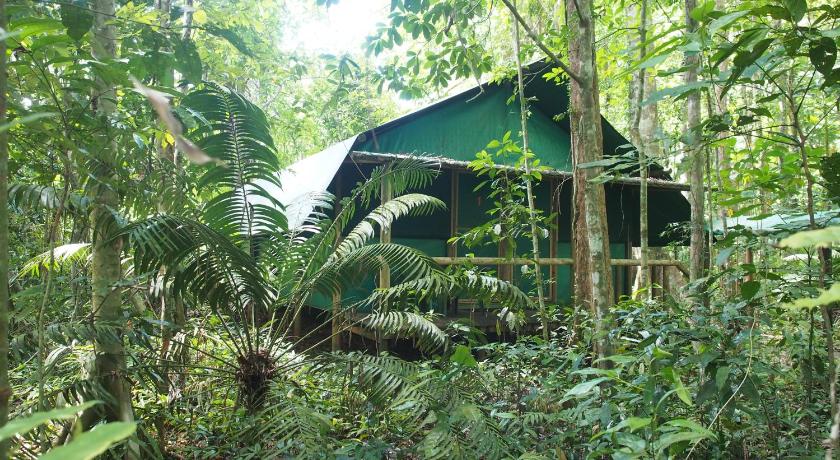 Daintree Crocodylus Village