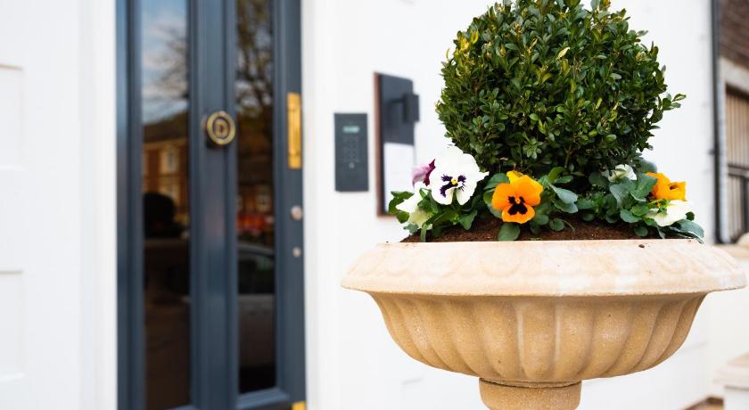 Domo Boutique Hotel photo