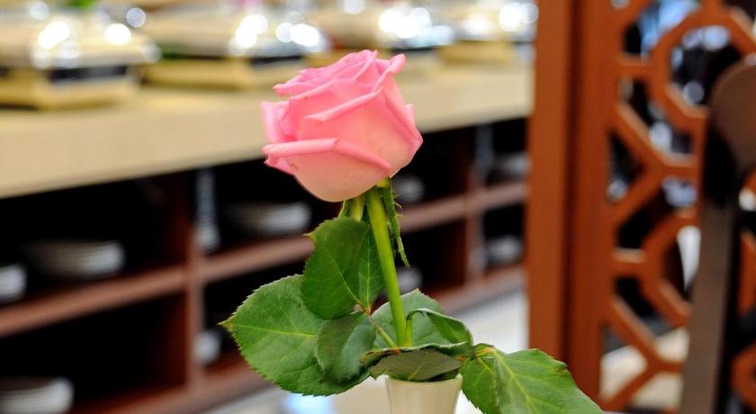 a pink rose in a vase on a table, Sunflower Hotel Phu Yen in Tuy Hòa (Phú Yên)