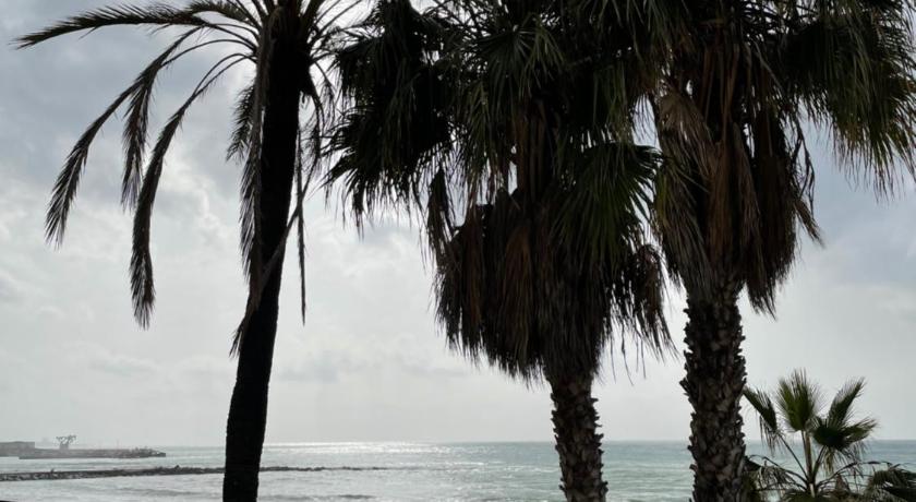 Hostal El Caprichito Marbella photo