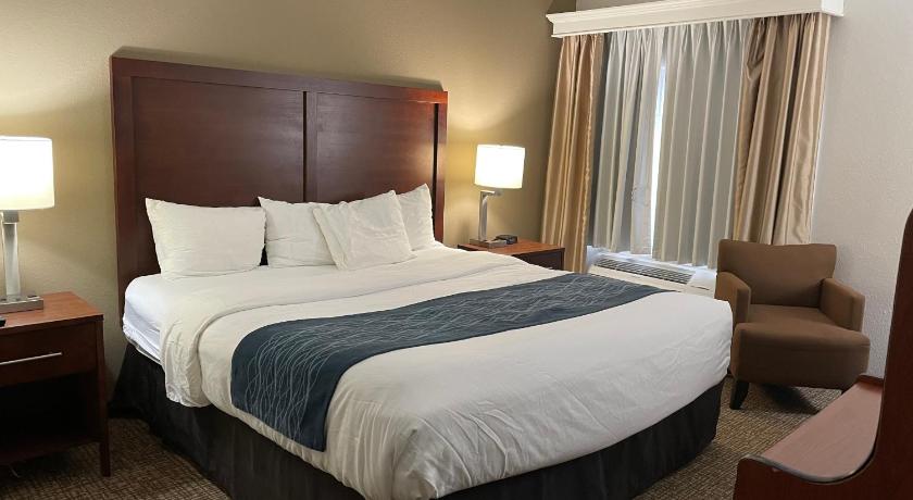 Comfort Inn Downtown - University Area