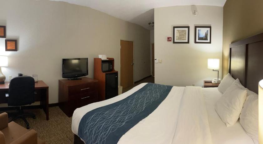 Comfort Inn Downtown - University Area