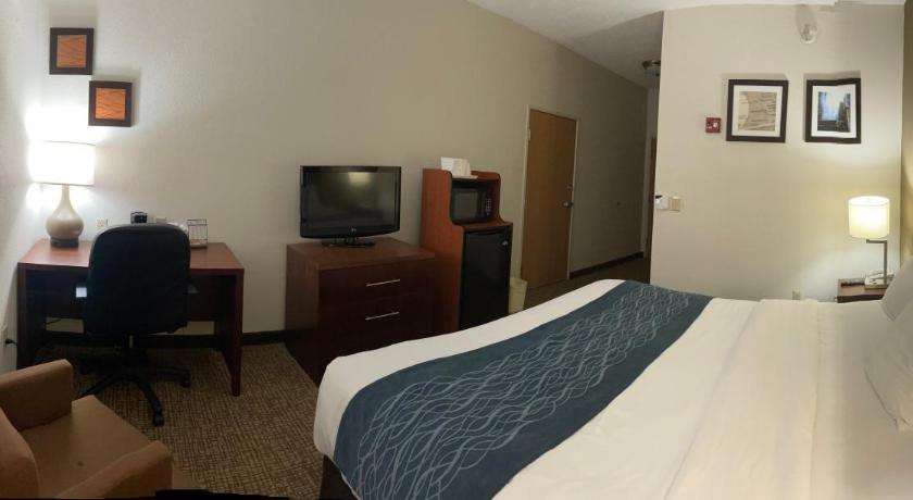 Comfort Inn Downtown - University Area