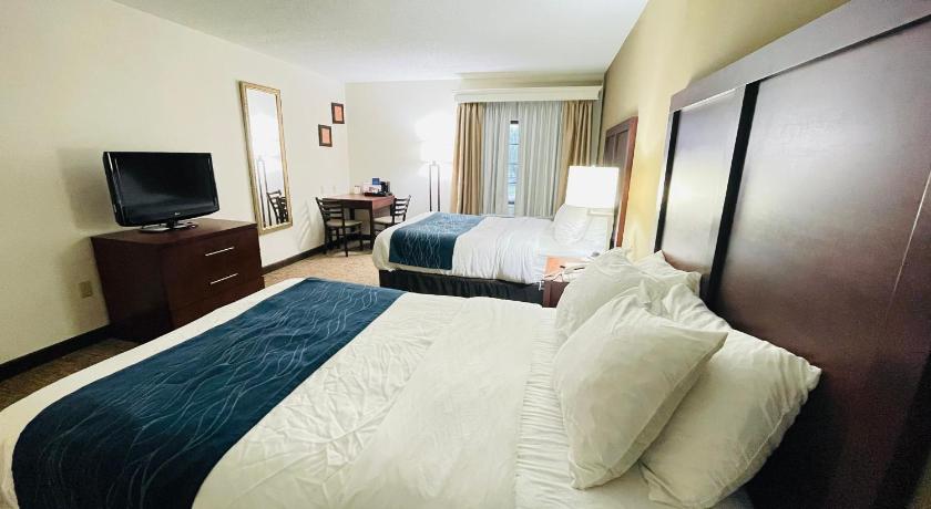 Comfort Inn Downtown - University Area