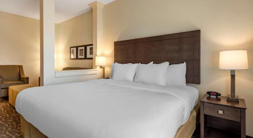 Comfort Inn & Suites Pittsburgh-Northshore