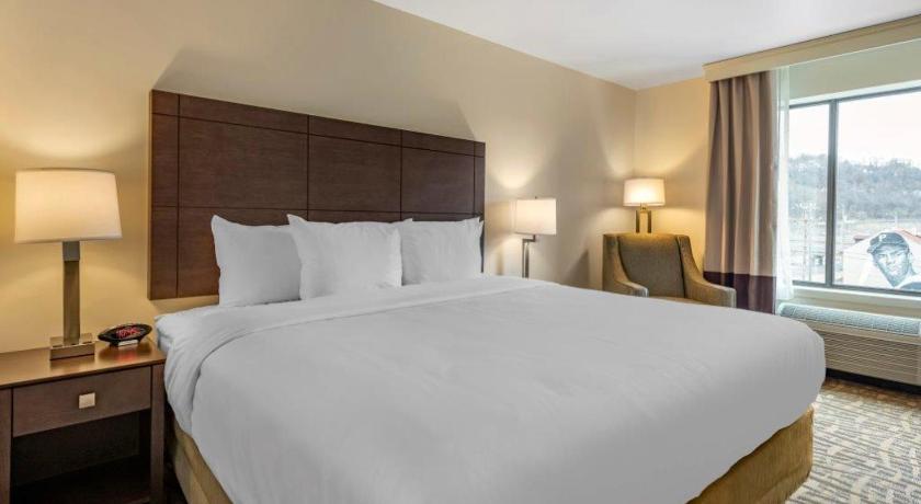 Comfort Inn & Suites Pittsburgh-Northshore