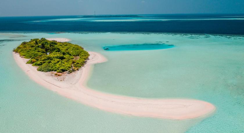 モルディブ島 By the shade Maldives 3つ星 ホテル プール