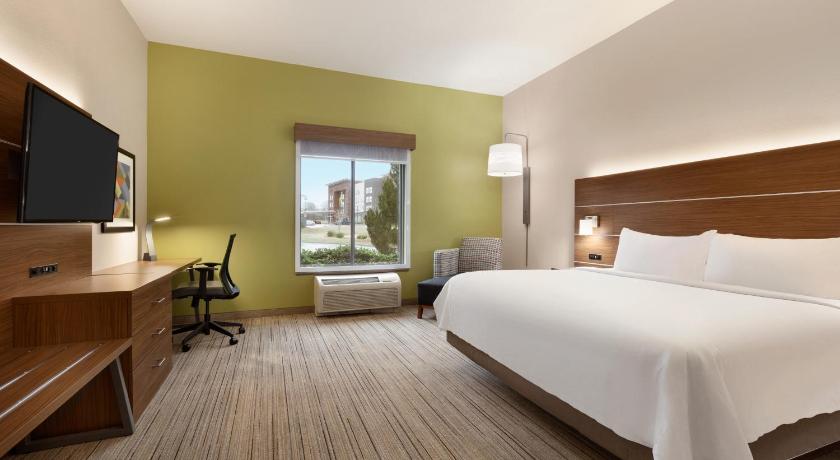 Holiday Inn Express Hotel & Suites Opelika Auburn