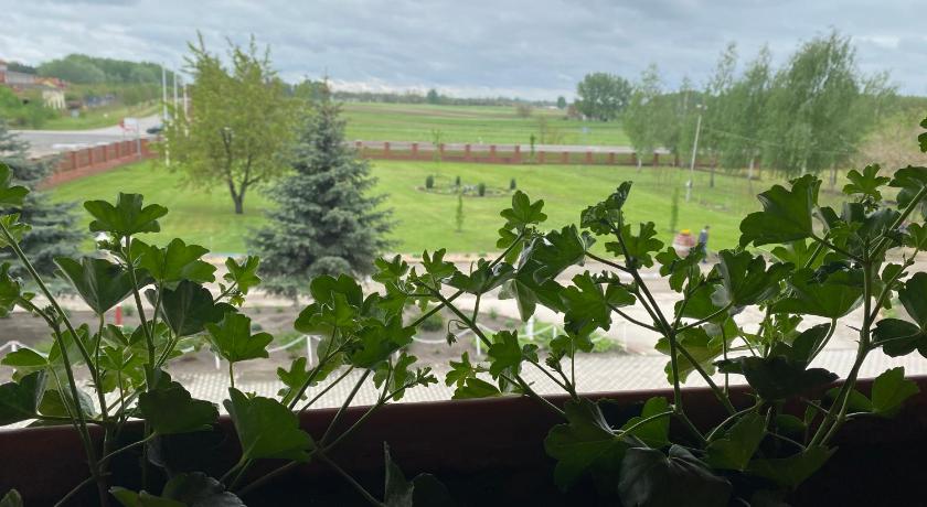 Muskatli Panzio es Etterem photo