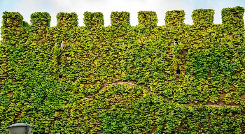 Castillo De Pilas Bonas