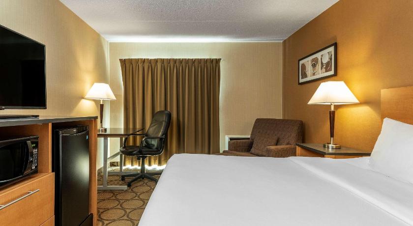 Comfort Inn West Edmonton