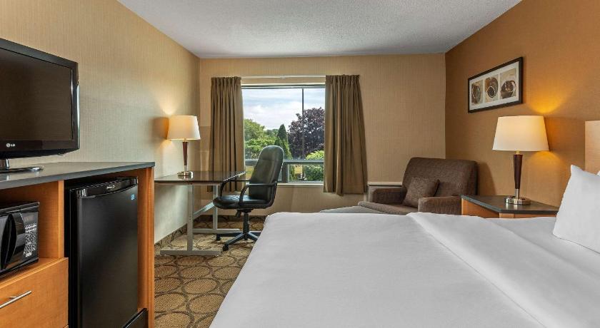 Comfort Inn West Edmonton