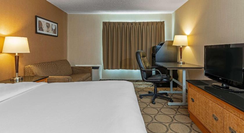 Comfort Inn West Edmonton