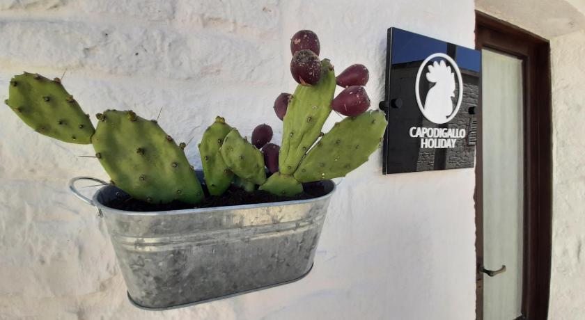 Capodigallo Holiday Trullo Monte Santo — Hotel in Alberobello